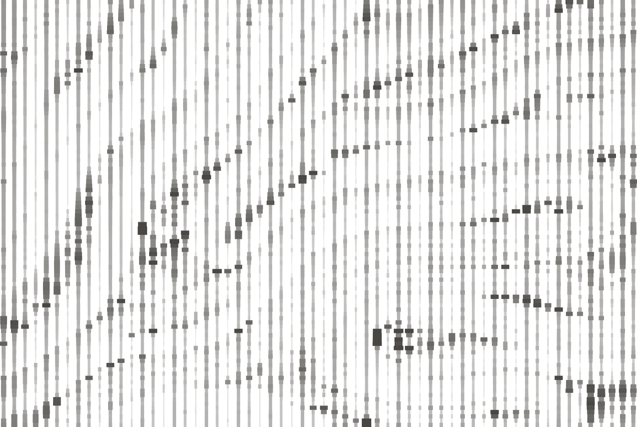 Full Basis framework for all Task API Processors